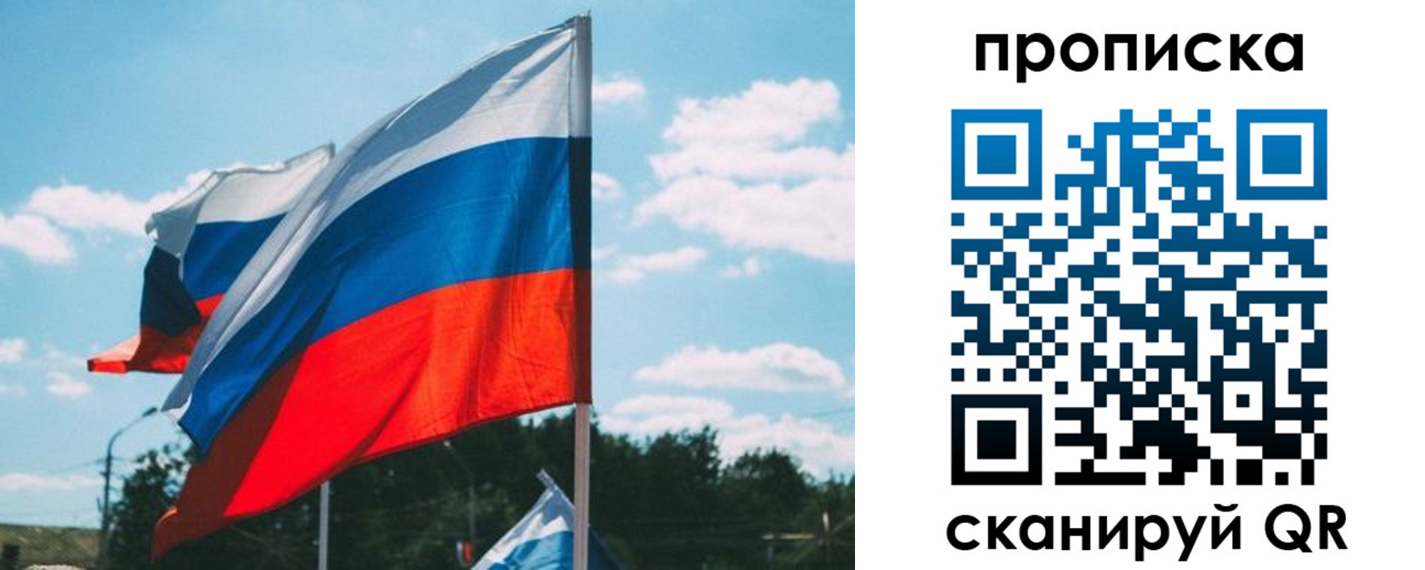 прописка поиск в Светлогорске